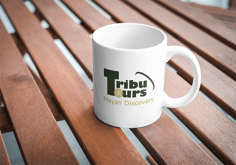Tribu Tours project